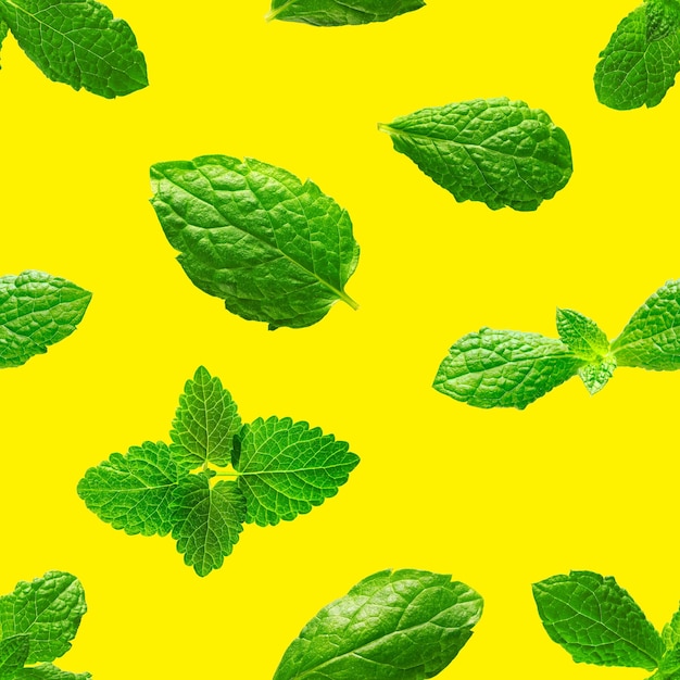 Seamless pattern of fresh mint leaves on yellow background