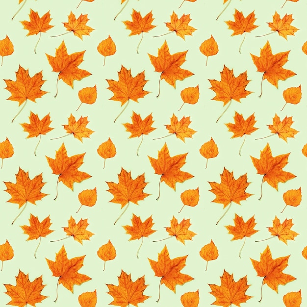 Seamless pattern from made of dry autumn leaves