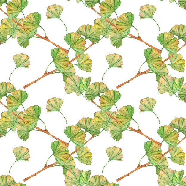 Seamless pattern ginkgo biloba green and yellow leaves print botany foliage Watercolor branches Leaves clip art