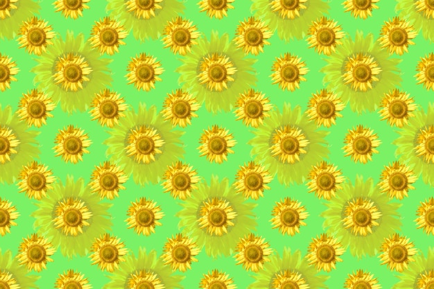 Photo seamless pattern of on green background may use like a wallpapers for children room