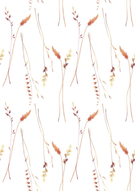 Seamless pattern illustration of spikelets blades of grass isolated on a white background Dry grass