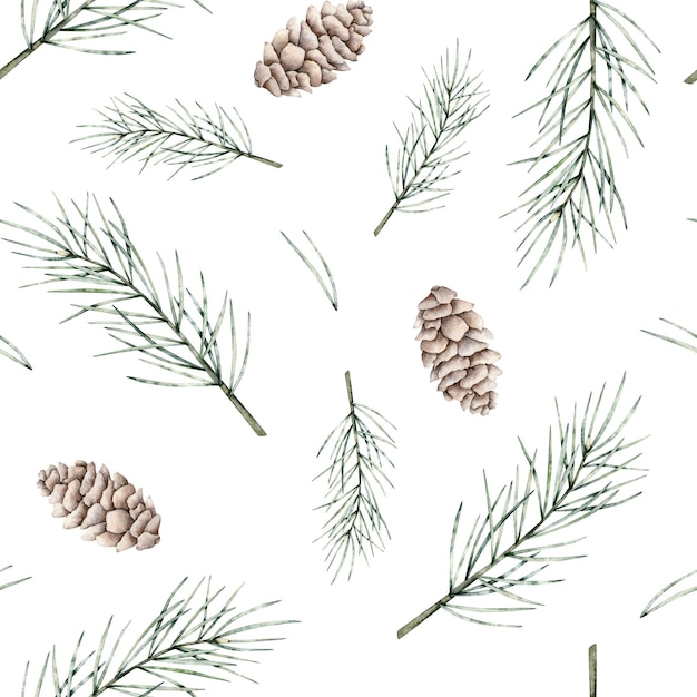 Seamless pattern of pine branch and cones botanical elements twig of conifers evergreen tree hand dr