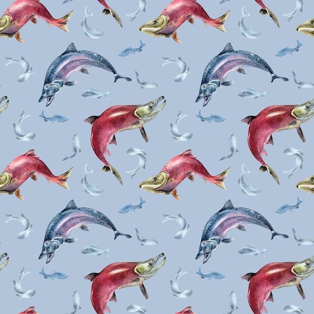 Seamless pattern of salmon coho chum watercolor illustration isolated on blue