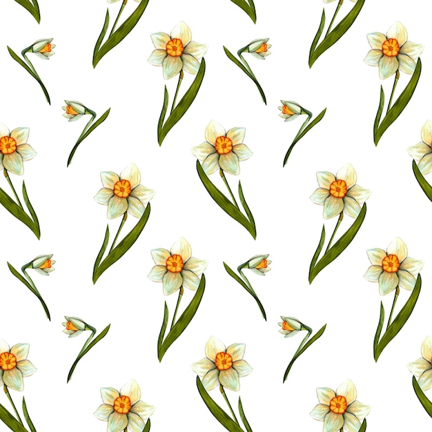 Seamless pattern Spring watercolor daffodils Flowers with stem and leaf Spring botanical print