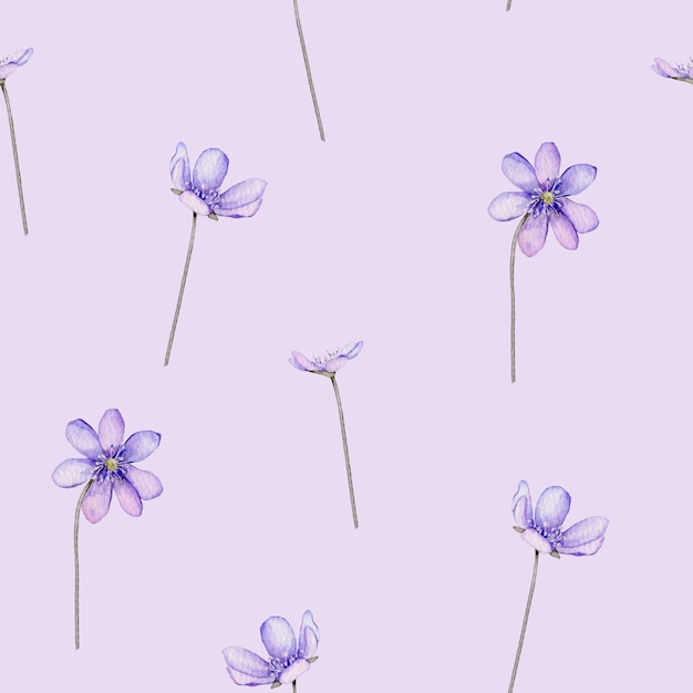 Seamless pattern watercolor spring flowers Scilla Coppice hepatica first spring flowers Illustration of delicate lilac flowers Primroses the anemones forest flowers liverwort