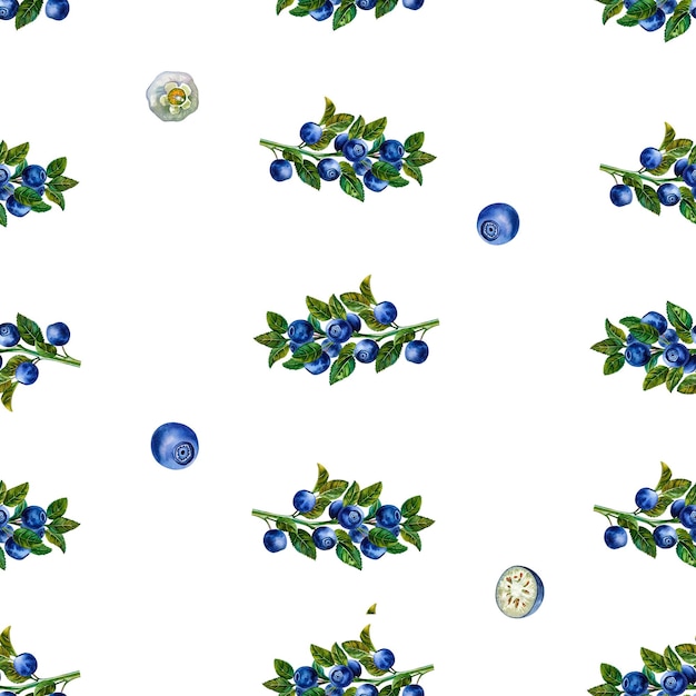 Seamless pattern with blueberries. Watercolor illustration.