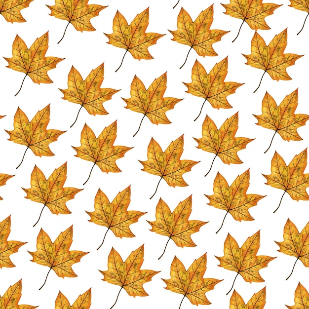 Seamless pattern with bright orange autumn leaf of a maple tree hand drawn watercolor illustration