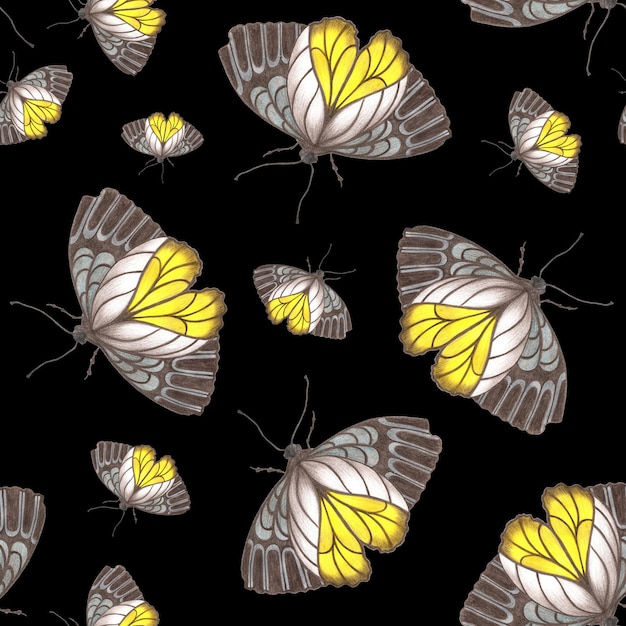 Seamless pattern with colorful butterflies on black background