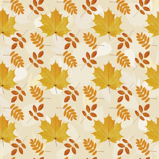 Seamless pattern with natural Autumn leaves of maple and rowan trees