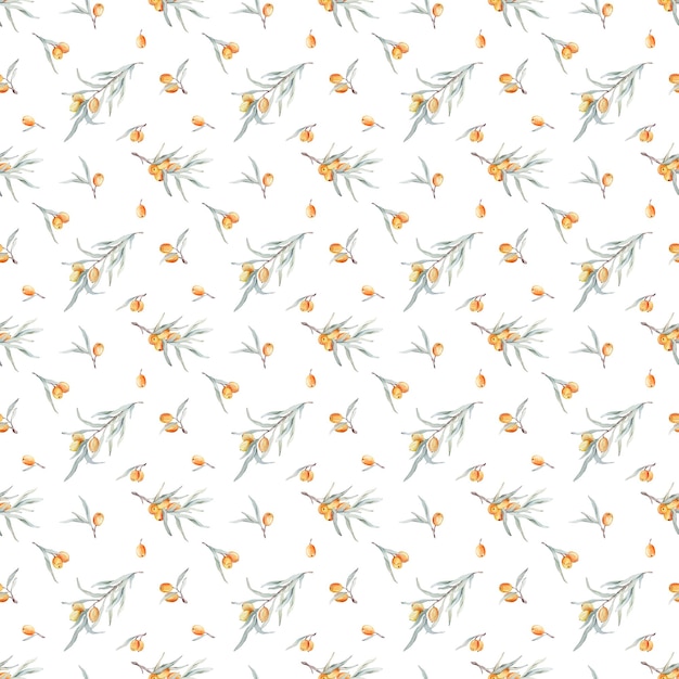 Seamless pattern with orange sea buckthorn Sea buckthorn for healthy life and design background