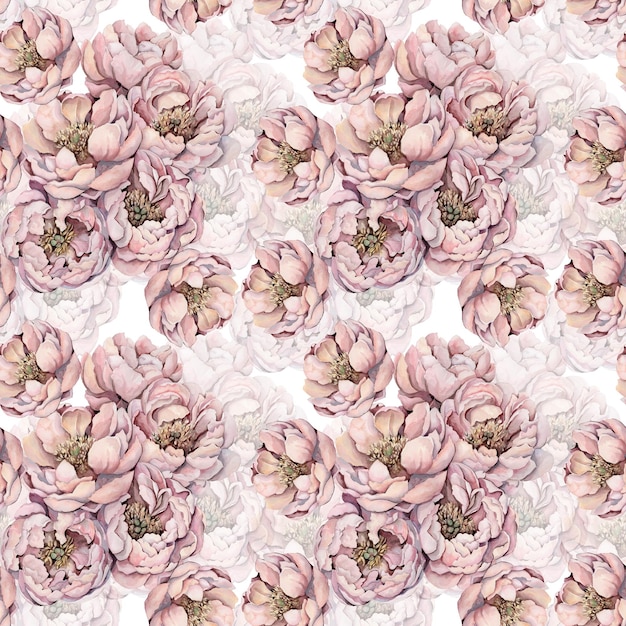 A seamless pattern with pink flowers of magnolia.