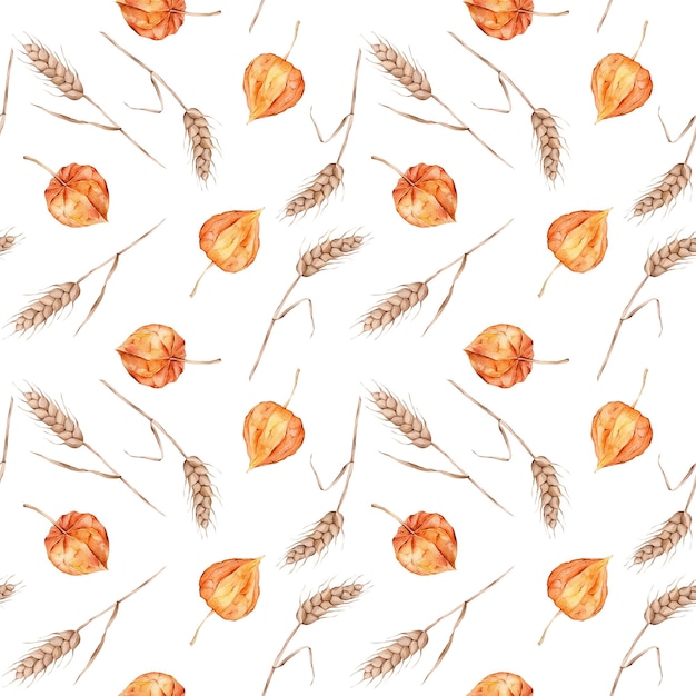 Seamless pattern with watercolor physalis Superfood orange poster Vegetable Red orange yellow Vegetarianism Autumn farm product Wheat spikelets watercolor seamless pattern