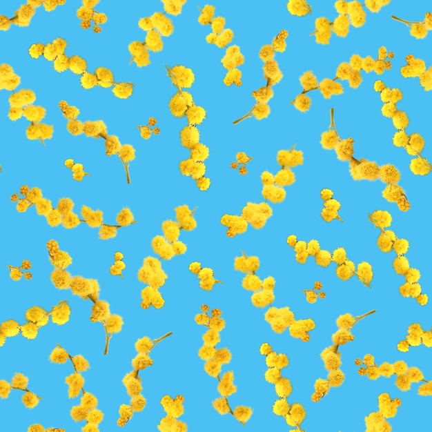 Seamless pattern of yellow acacia twigs on a blue background