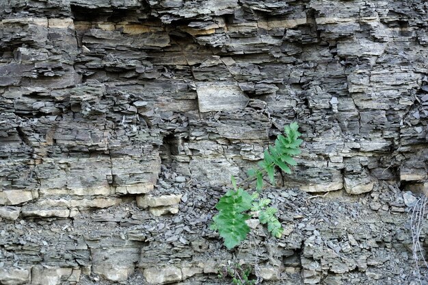 Seamless stone texture closeup background