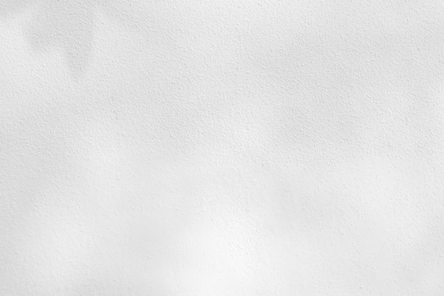 Seamless texture of white cement wall a rough surface and leaf shadow with space for text for a background