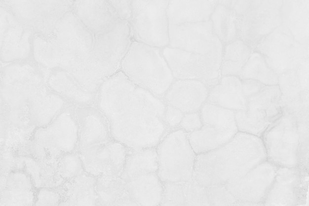 Photo seamless texture of white cement wall a rough surface with space for text for a backgroundx9