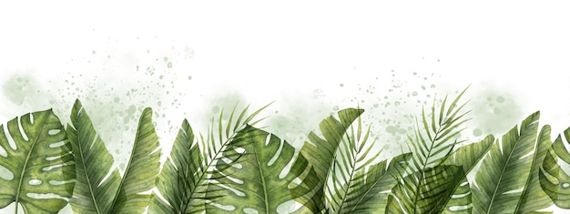 Seamless Tropical Border with green Palm Leaves Hand drawn Exotic botanical pattern with jungle