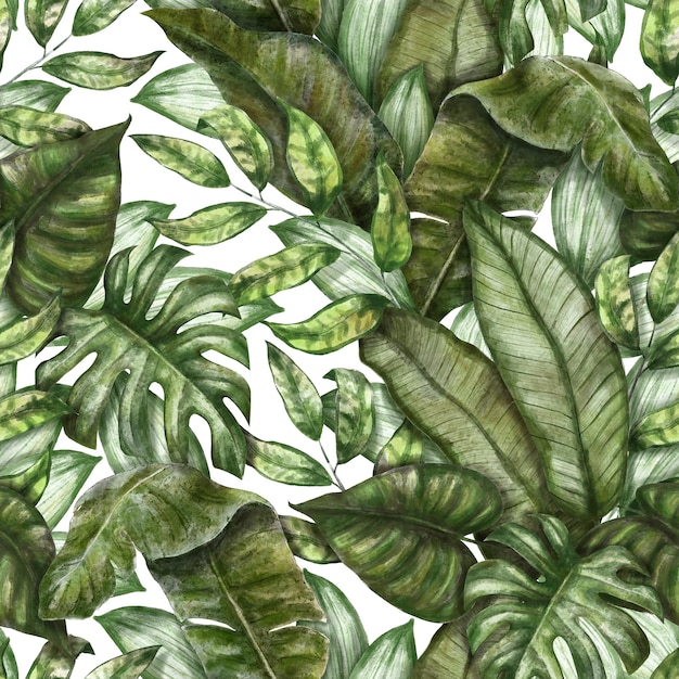 seamless tropical pattern exotic background with palm leaves monstera colocasia banana leaves