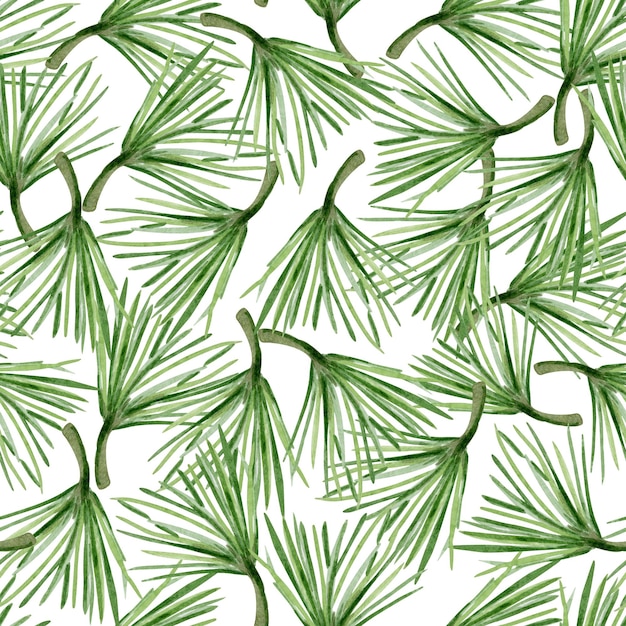 Seamless watercolor pattern of pine branches