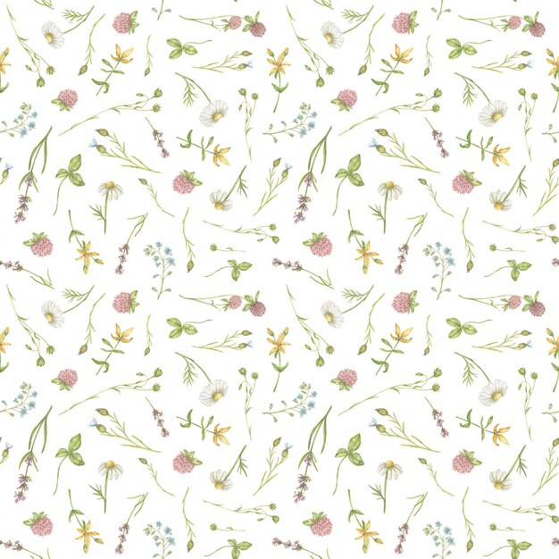 Photo seamless watercolor pattern with wildflowers of chamomile clover lavender and others