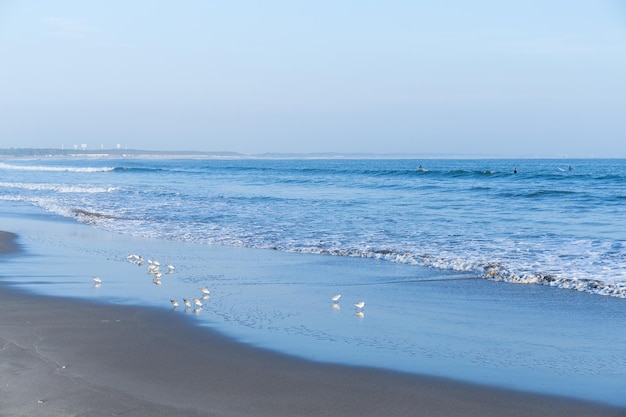 Seascape and blue sky