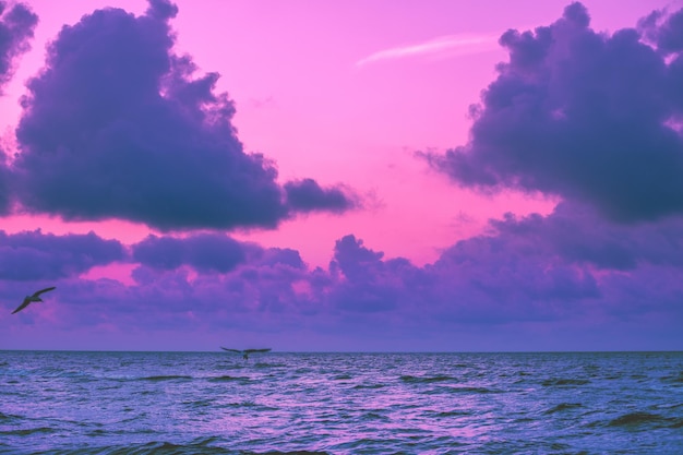 Seascape in early morning sunrise over sea Nature landscape