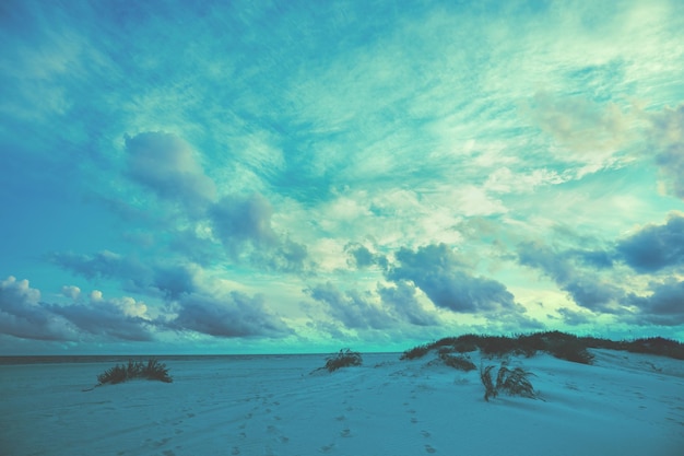 Seascape in the evening Sunset over the sandy beach Nature landscape with dramatic sky