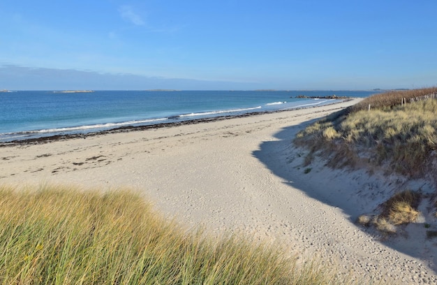 Seascape view from grassy dune on a beach under blue sky in Brittany France