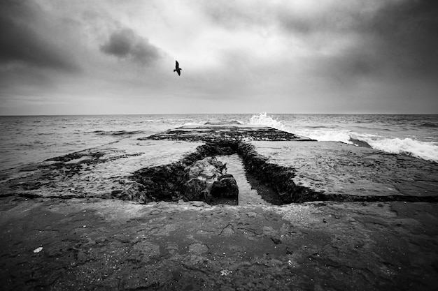 Seascape with breakwater on cloudy day, B&W photo