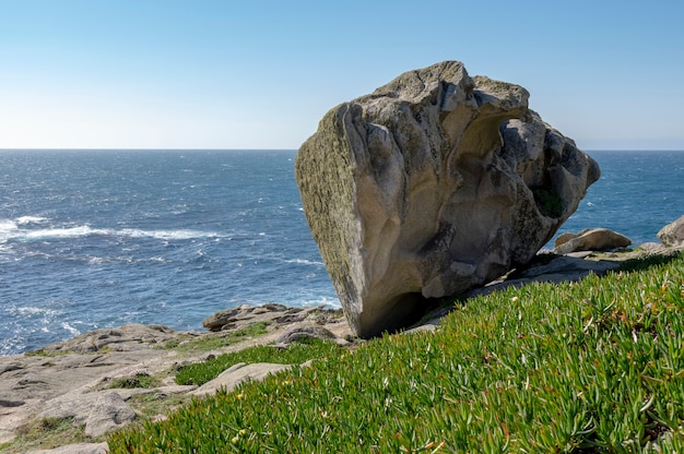 Seascape with rock and green plants in the foreground on sunny day