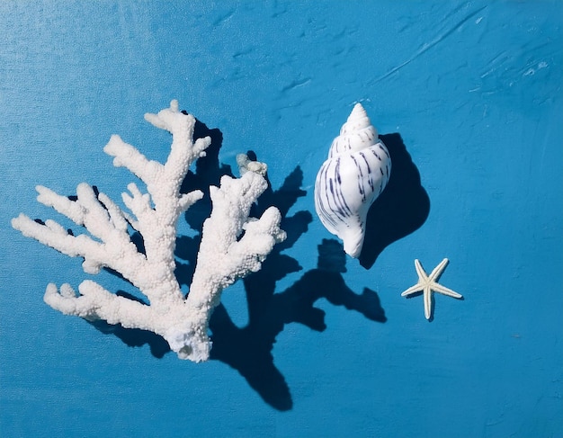 Photo seashell and coral flat lay beachy vibes in a snapshot