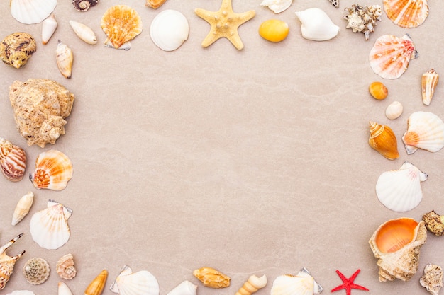 Seashells frame background, summer holidays concept