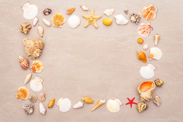 Seashells frame background, summer holidays concept