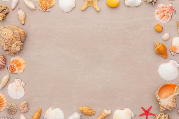 Seashells frame background, summer holidays concept