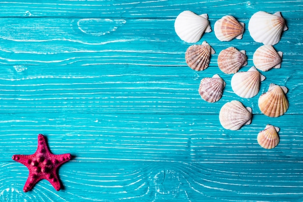 Seashells and red starfish on blue wooden background