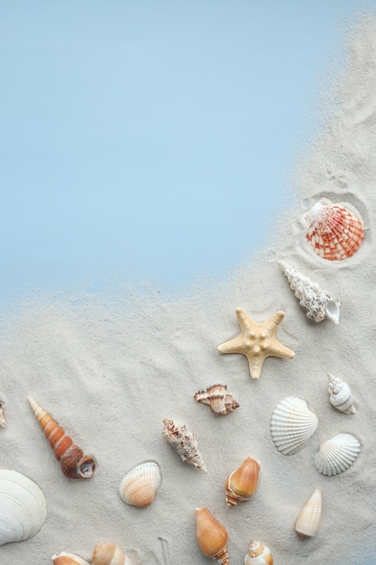 Seashells Starfish and corals on blue background top view copy space Summer vacation or holiday concept