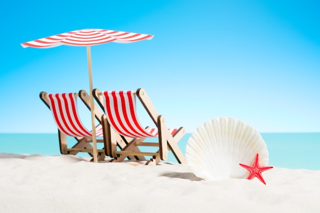 Seashells and two sunbeds under the umbrella at the beach