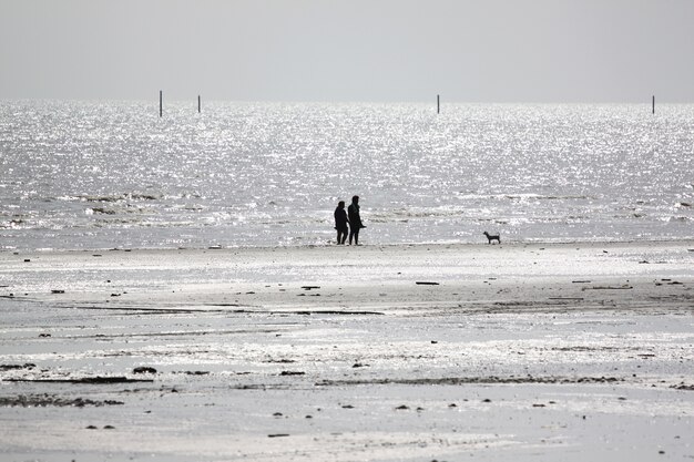 Seashore at low tide.