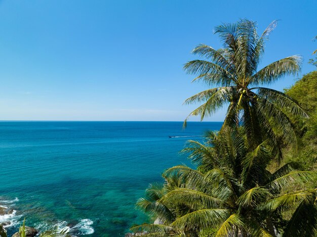 Seashore ocean with coconut palm trees frame nature background Beautiful nature border frame Amazing seacoast view background