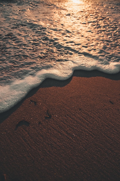 seashore at sunset