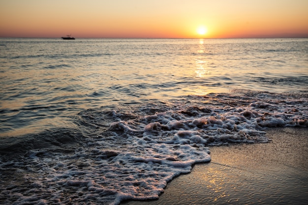 Seashore at sunset