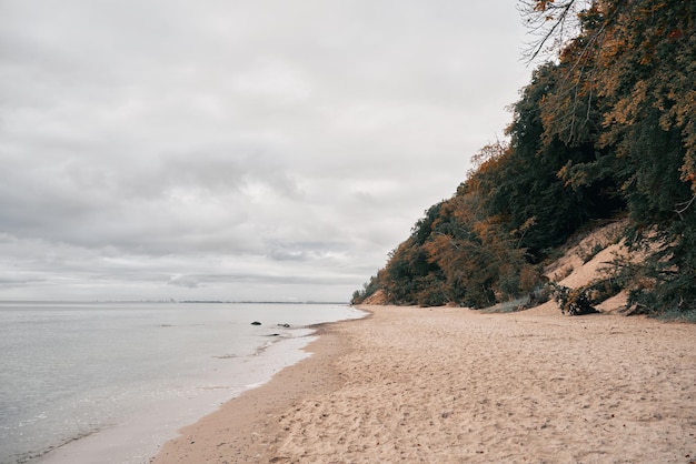 Seashore view of the beach and port in the distance Morning on the seaside during cloudy weather