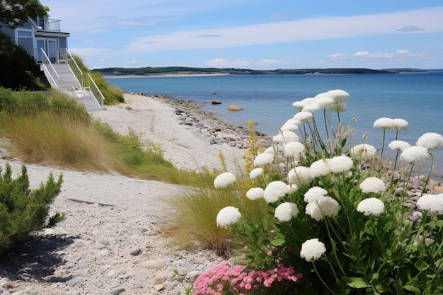 Photo seaside garden landscaping photo