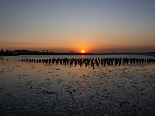 seaside view in sunset time