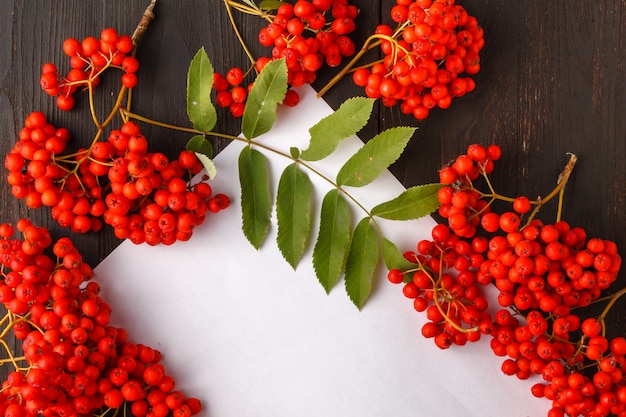 Seasonal fall concept, berries in frame on wooden table