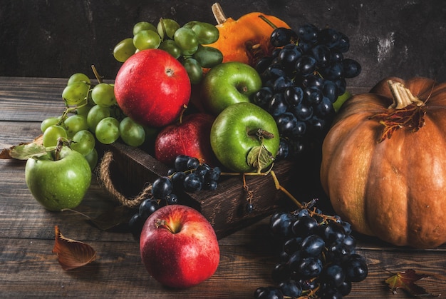 Seasonal fall fruits and pumpkin