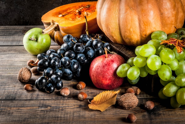 Seasonal fall fruits and pumpkin