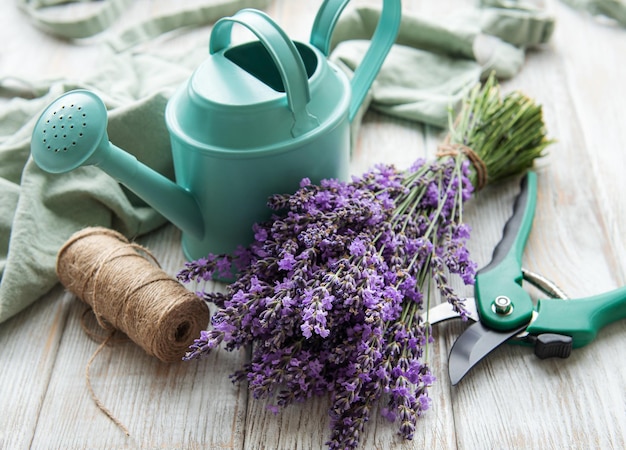 Seasonal pruning of lavender