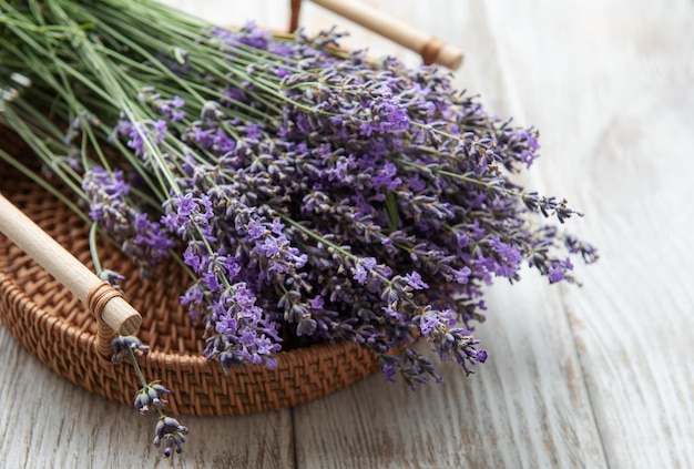 Seasonal pruning of lavender