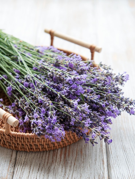 Seasonal pruning of lavender